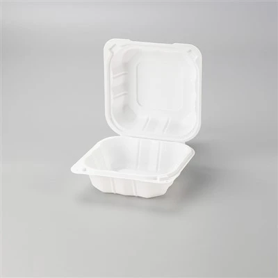 حافظات طعام صدفية مقاس 6×6