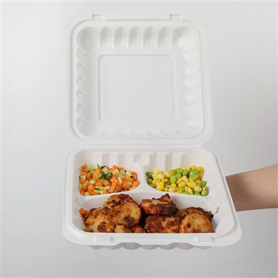 إلى جانب BPA ، ما هي المخاطر المحتملة الأخرى الموجودة في البلاستيك إلى - GO؟